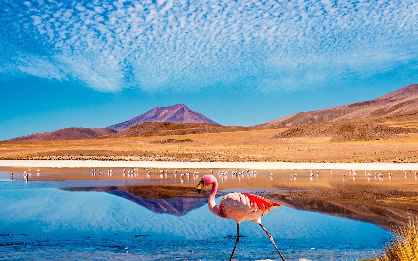 É possível conhecer Santiago e o Deserto do Atacama em uma só viagem? É possível conhecer Santiago e o Deserto do Atacama em uma só viagem?