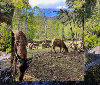 TOUR POR HUILO HUILO