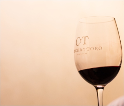 VINÍCOLA CONCHA Y TORO VINÍCOLA CONCHA Y TORO